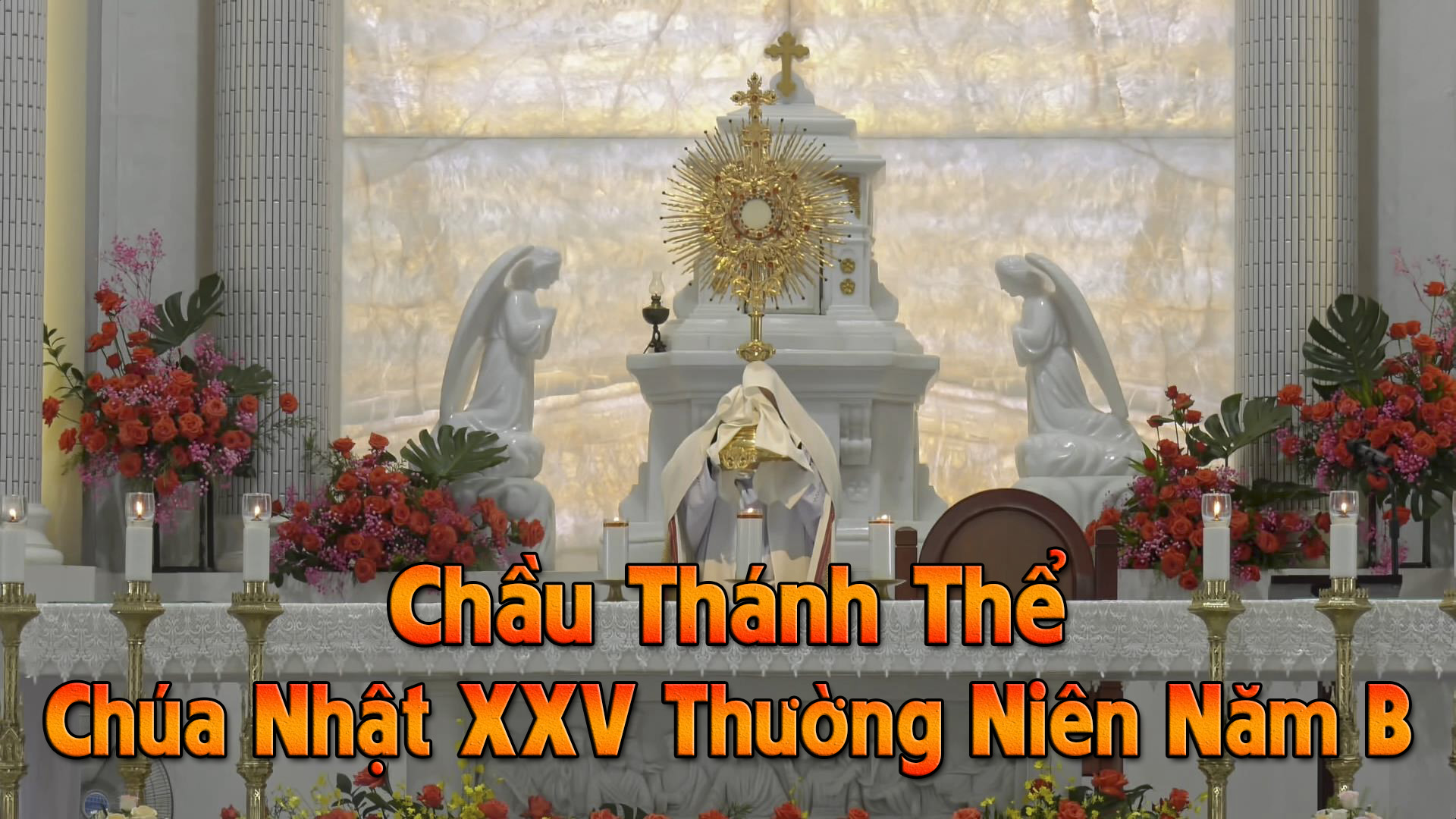 Chầu Thánh Thể - Chúa Nhật XXV Thường Niên Năm B